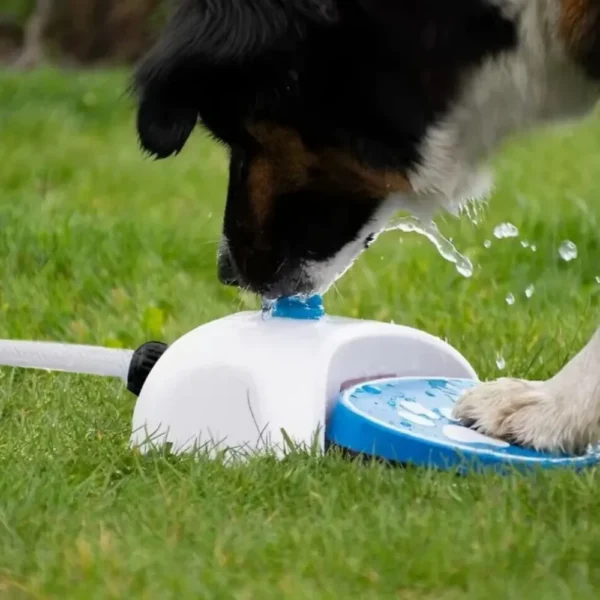dfwwm0269081-05.webp Foot Press Automatic Pet Water Fountain with Hose for Dogs – product view 5