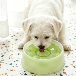 dfwwm0274824-05.webp Anti-Splash Floating Pet Water Bowl for Cats and Dogs – product view 5