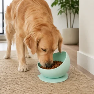 dfwwm0281016-05.webp Silicone Anti-Slip Slow Feeding Bowl for Dogs 3 Colors Assorted – product view 5