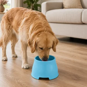 dfwwm0282035-05.webp Elevated Cat and Dog Bowl Non Slip Raised PP Pet Food and Water Bowl Easy Clean Feeder – product view 5