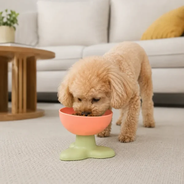 dfwwm0288492-05.webp Elevated Three Leaf Tilted Pet Food Bowl for Cats and Small Dogs – product view 5