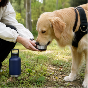 dfwwm0305085-05.png 3 in 1 Portable Dog Water Bottle with Bowl and Food Container 2 Colors Assorted – product view 5