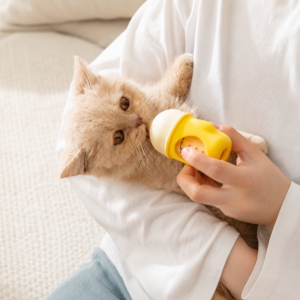 dfwwm0305174-05.png Anti Choking Pet Feeding Bottle for Kittens and Puppies 3 Colors Assorted – product view 5