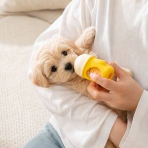dfwwm0305174-06.png Anti Choking Pet Feeding Bottle for Kittens and Puppies 3 Colors Assorted – product view 6