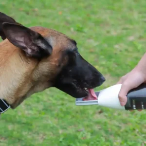 jfp-tr-00011-g04.webp Portable Pet Water Dispenser for Outdoor Use Pet Water Bottles view 5