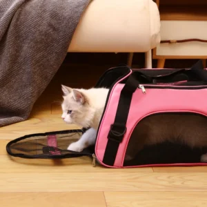 5 Colors Capacity Foldable Pet Carrier Bag with Nylon Mesh view 2