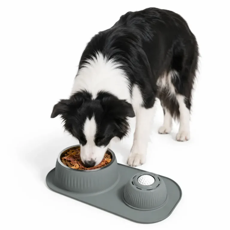Pet products sourced and consolidated by JustForPetStore