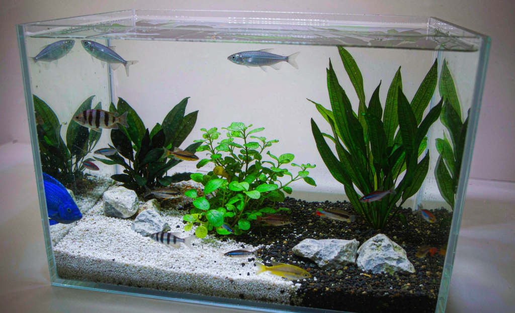 Aquarium Filters Dropship Supplier: The Recurring-Margin Aisle in 2026