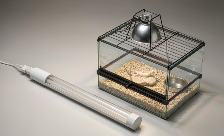 Reptile terrarium with UVB lighting tube and basking dome clean product flat-lay