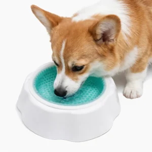 2-Color Option PP Cooling Pet Summer Bowl