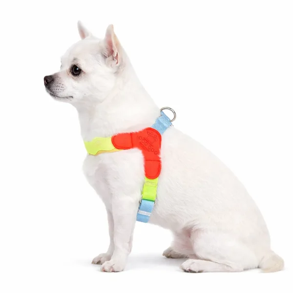 ssuwm0218449-01.webp Adorable Summer 5 Color Option Pet Harness and Leash Set