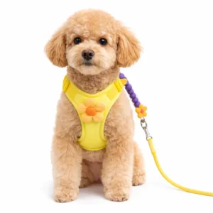 Cute Summer Dopamine Dog Harness and Leash Set | Wholesale Dog Harnesses