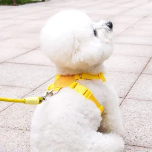 ssuwm0224952-05.webp Cute Summer Dopamine Dog Harness and Leash Set – product view 5