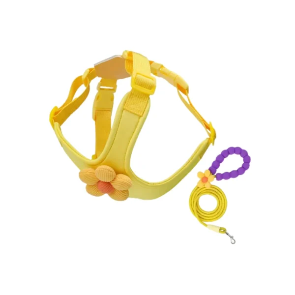ssuwm0224952-06.webp Cute Summer Dopamine Dog Harness and Leash Set – product view 6