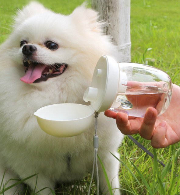 300ml Cute Water Cup PP0048