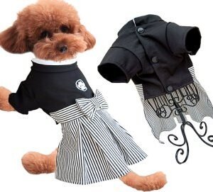 ropa para perros Christmas Set Rojo