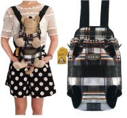 3D Ladybug 15331