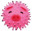 Animal Spikey Dog Ball