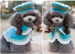 Anna Princess Dog Costume Hat + Wig