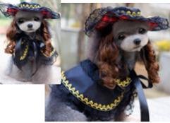 Austrian Princess Costume Set (Hat + Wig + Cape) - Black