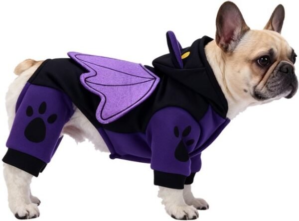 Bat Costume For Pets MQ-SDZ167