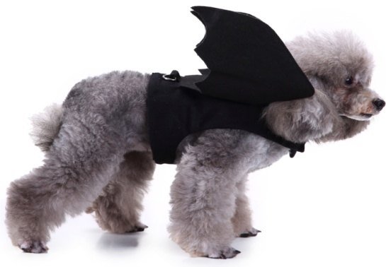 disfraz Bat Halloween para perros