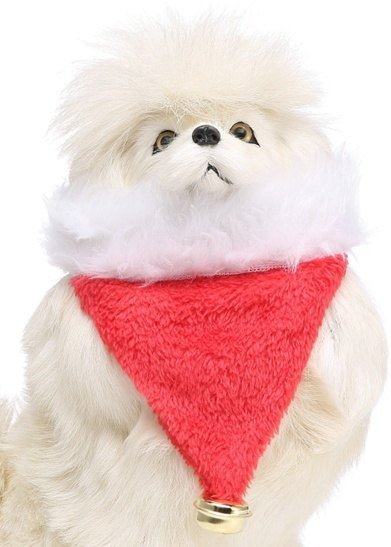 Pet Product