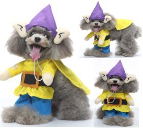 Big-Eared Elf Standing Costume Set (Hat + Cape + Shirt)