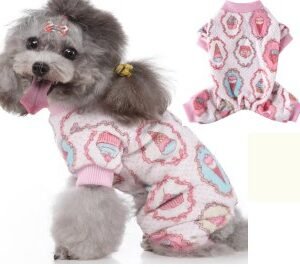 Birthday Cake Four-Leg Dog Sweater
