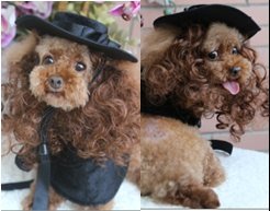 Black EVA Costume Set (Hat Wig Cape)