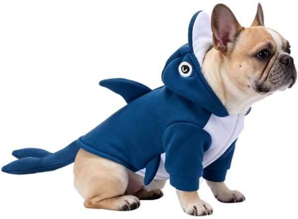 Blue Fin Cute Pet Carrier