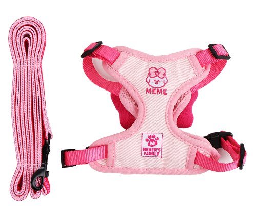 Butterfly Harness Leash With Mesh