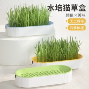 Cat Grass Growing Cat Box 9×4.5 cm