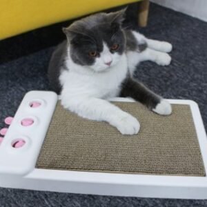 comedero para gatos Cat Running