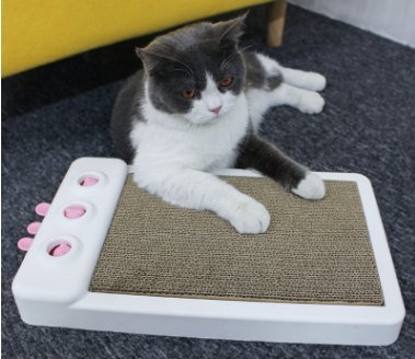 Cat Running Machine PP0005