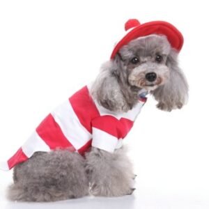 disfraz Christmas Baby para perros Hat