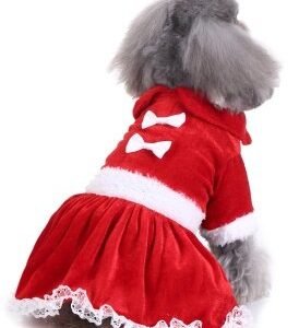 ropa para perros Christmas Butterfly
