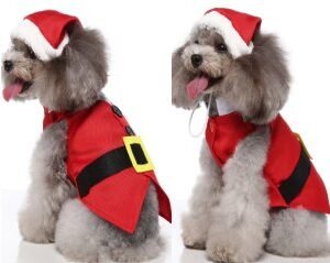 Christmas Formal Suit Set ( Dog Hat