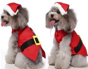 Christmas Formal Suit Set (Hat + 2-Piece Outfit)