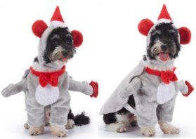 Christmas Gift Costume Set With Hat Cape And Clothes