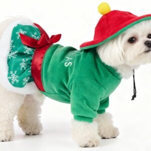 Set (Hat + Dog Dress