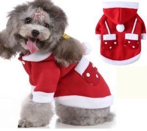 Christmas Little Red Riding Hood Dog Gloves