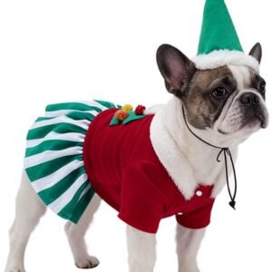 Christmas Dog Dress Set With Hat