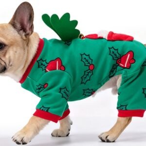 Christmas Red Hat Wing Dog Costume