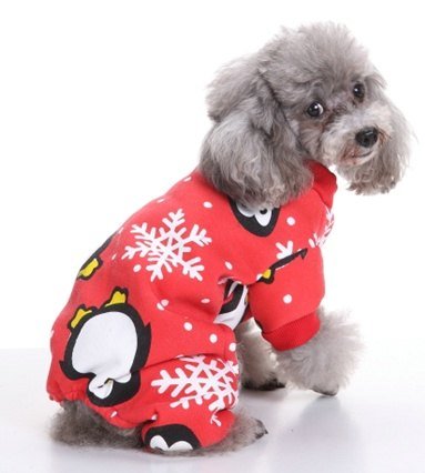 Christmas Snowflake Penguin Four-Leg Suit