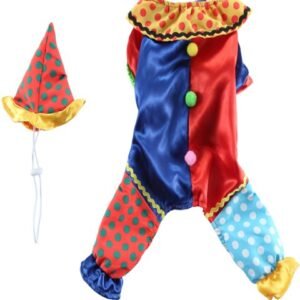 Circus Clown Dog Costume