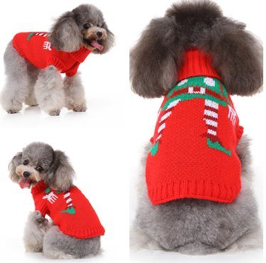 Clown Performance Dog Sweater