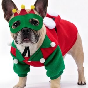 Colorful Dog Ball Mask Set (Outfit