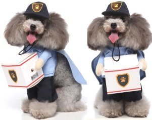 Courier Standing Dog Costume