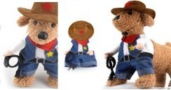 Cowboy Costume (Clothes + Hat)